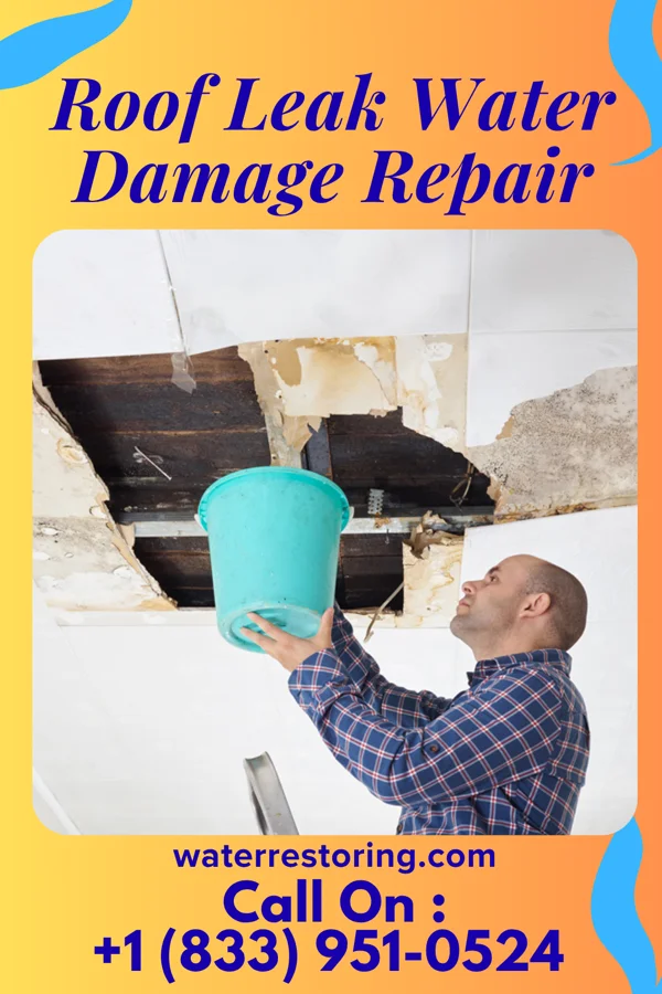 Roof Leak Water Damage Repair in Garland, TX